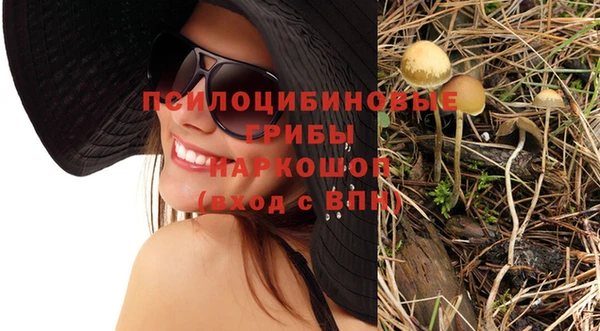скорость Бородино