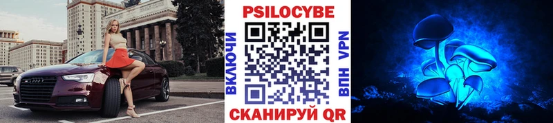 omg маркетплейс  купить наркотики сайты  Курск  Галлюциногенные грибы GOLDEN TEACHER 